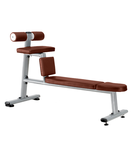 BRONZE_GYM_J_035_50239f638151c.png