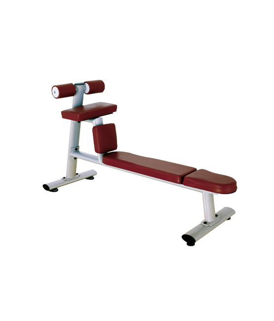 BRONZE_GYM_H_035_4f9fefa35a77e.png