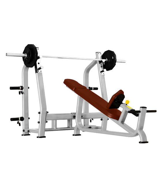 BRONZE_GYM_J_025_50239ddff0943.png
