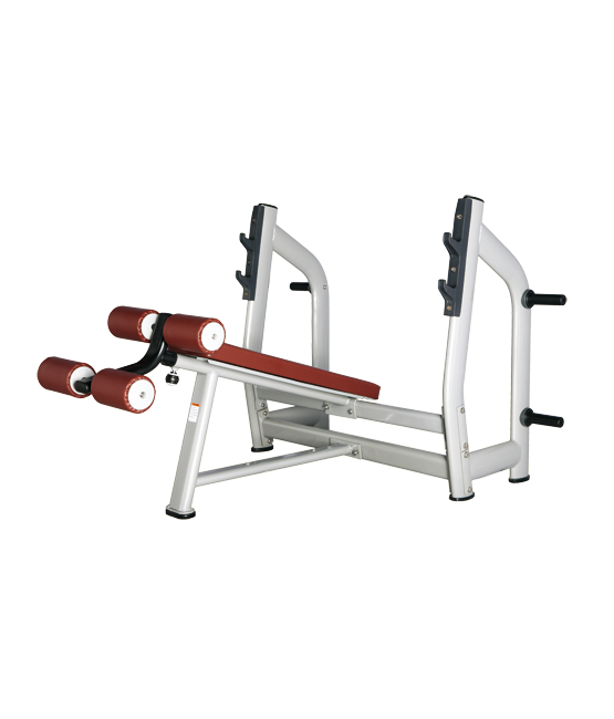 BRONZE_GYM_H_024_4f9fe871d9dbb.png