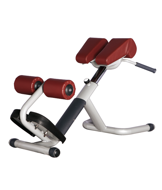BRONZE_GYM_H_026_4f9fe9bc70057.png