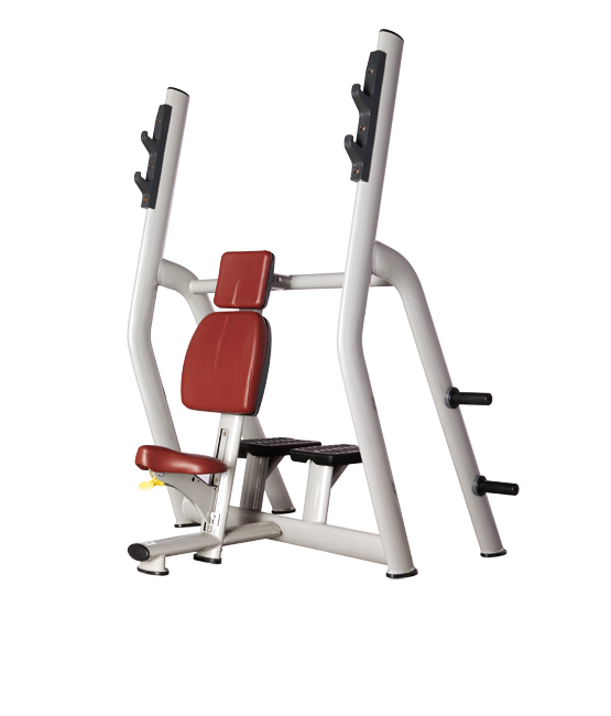 BRONZE_GYM_H_025_4f9fe92163ac0.png