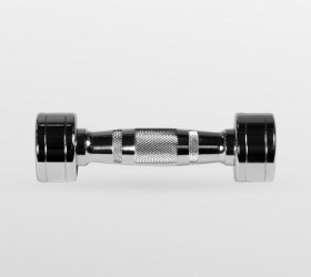 BRONZE GYM Гантель хромированная 2 кг