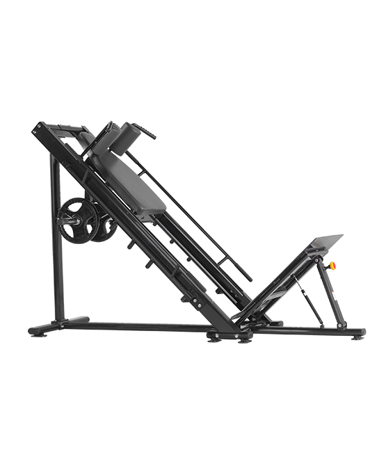 BRONZE_GYM_H_022_59a81bcbf33f5.png