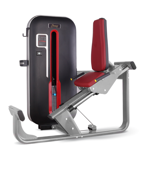 BRONZE_GYM_MT_01_51da6e2dd966e.png