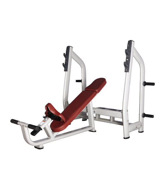 BRONZE_GYM_H_025_4f9fe8f1ebc58.png