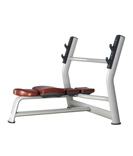 BRONZE_GYM_H_023_4f9fe84c80052.png