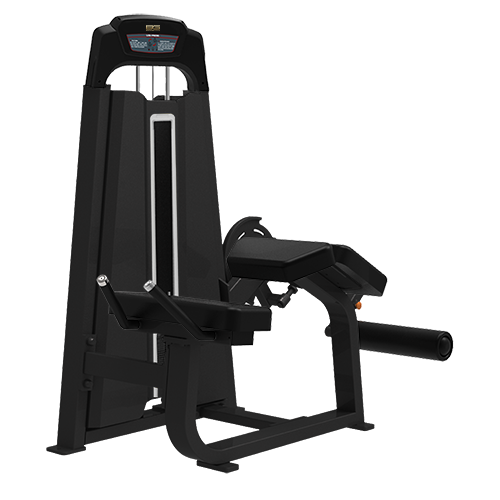 BRONZE_GYM_LD_90_5b7bd503ac535.png