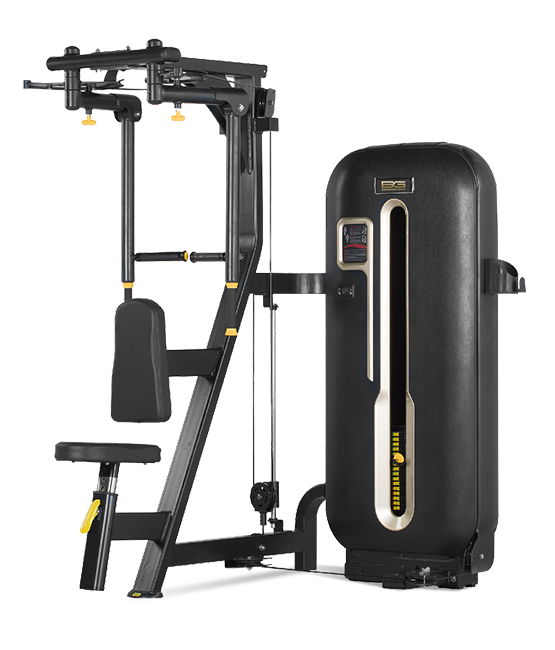 BRONZE_GYM_S7_00_599d9259196f2.png
