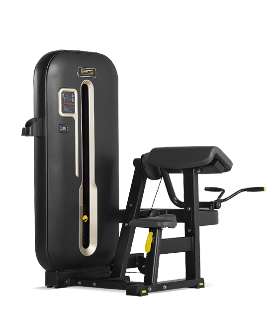 BRONZE_GYM_S7_00_599d922f82cde.png