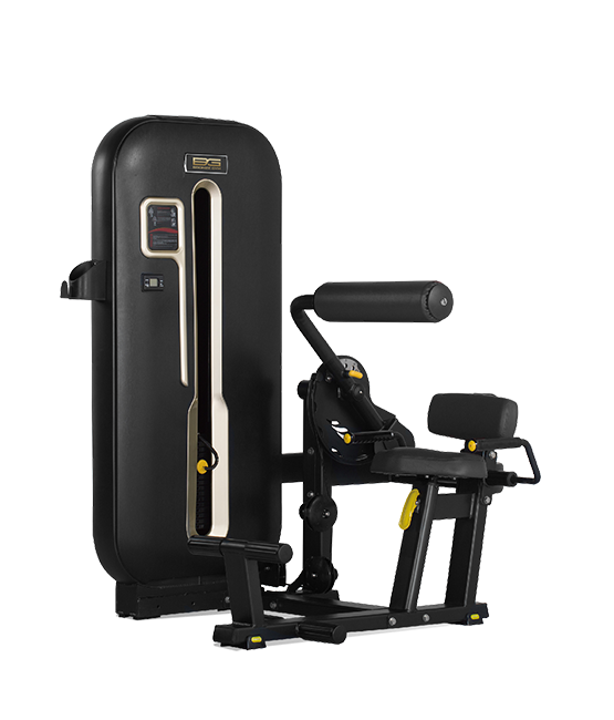BRONZE_GYM_S7_00_599d9202ee3ea.png