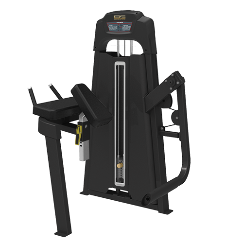 BRONZE_GYM_LD_90_5b7c1fd2a7a35.png
