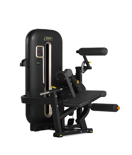 BRONZE_GYM_S7_01_599d91ae82f67.png