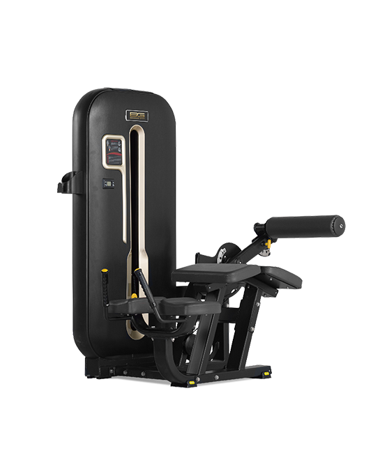 BRONZE_GYM_S7_01_599d919f3c2d6.png