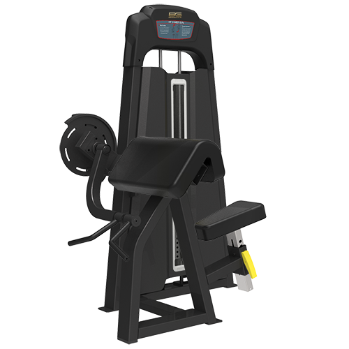 BRONZE_GYM_LD_90_5b7c2106e0274.png