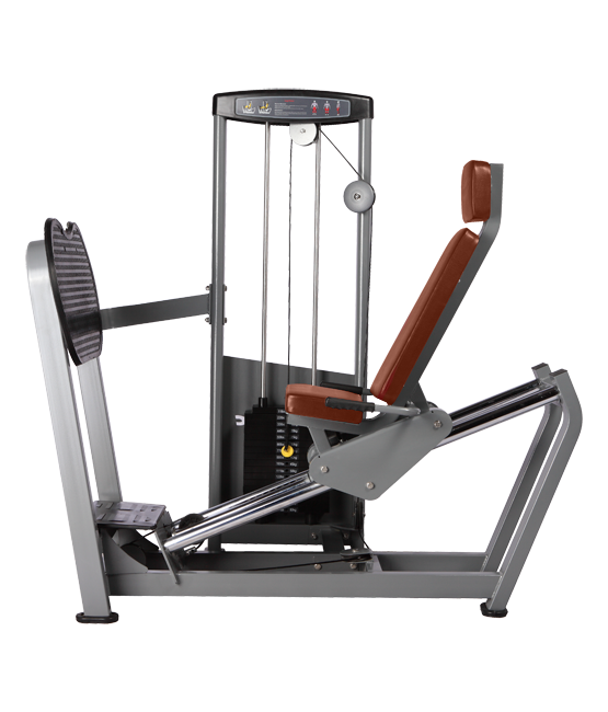 BRONZE_GYM_D_015_50211a3f23cc6.png