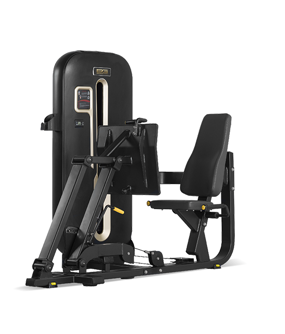 BRONZE_GYM_S7_01_599d91717642d.png