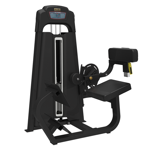 BRONZE_GYM_LD_90_5b7c21372d192.png