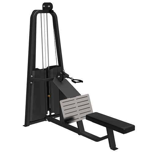 BRONZE_GYM_LD_90_5b7c2162d503a.png