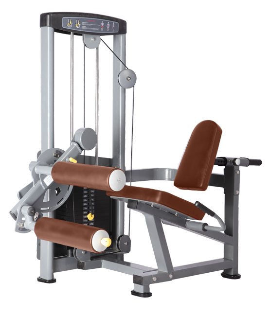 BRONZE_GYM_D_013_5021197ee7d2e.png