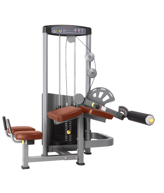 BRONZE_GYM_D_013_502119e3e27b1.png