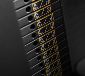 BRONZE GYM NEO 01_2.jpg