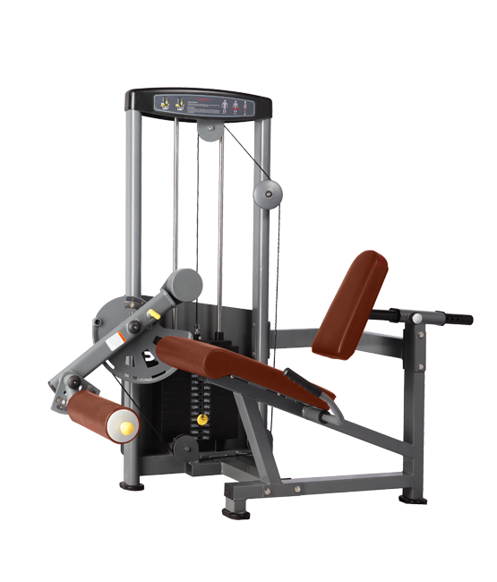 BRONZE_GYM_D_014_50211a166410f.png