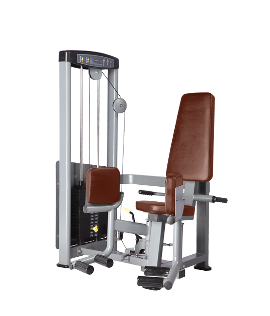 BRONZE_GYM_D_019_50211ae7f3041.png