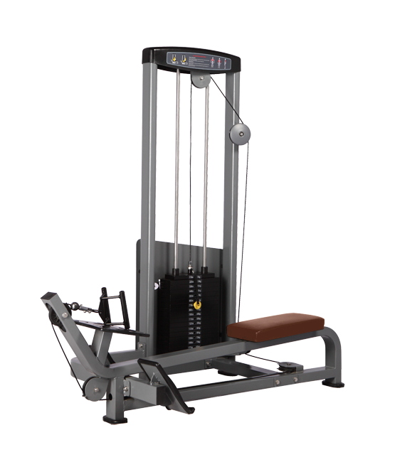 BRONZE_GYM_D_012_50211946cc46f.png