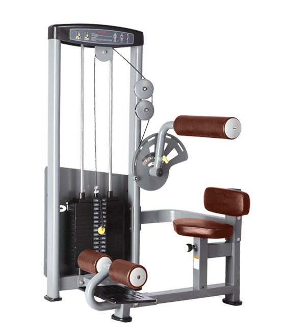 BRONZE_GYM_D_010_5021188874f3c.png