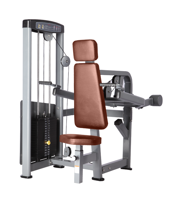 BRONZE_GYM_D_007_5021180468fc2.png