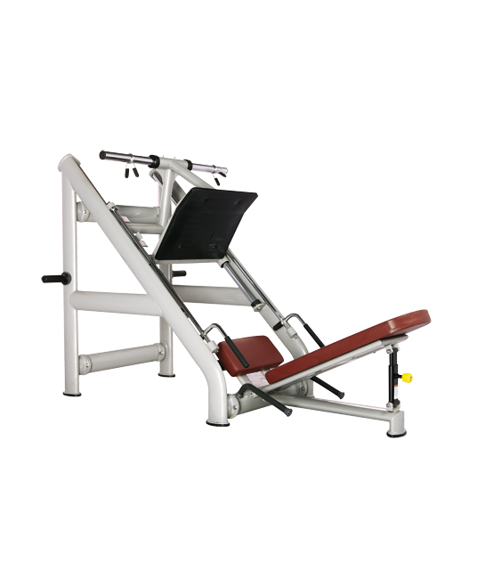 BRONZE_GYM_H_022_4f9fe7c2be189.png