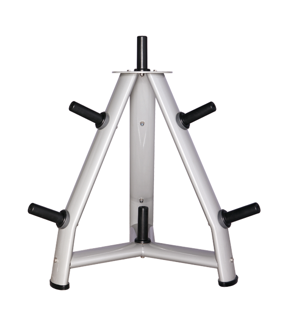 BRONZE_GYM_H_041_4f9ff2f25446f.png